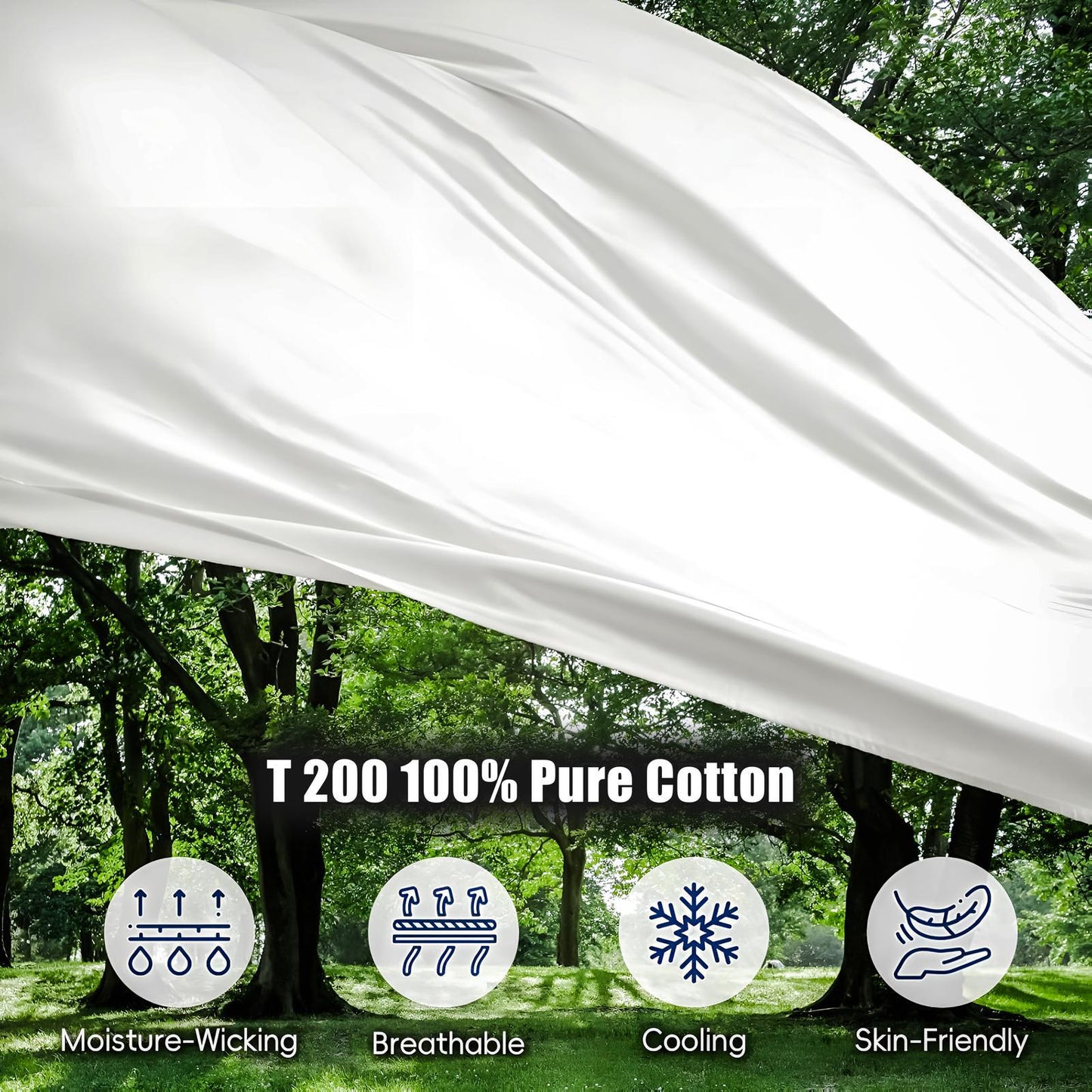 Queen Size Bedsheet Set